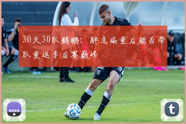 30天30队鹈鹕：胖虎减重后能否带队重返季后赛巅峰