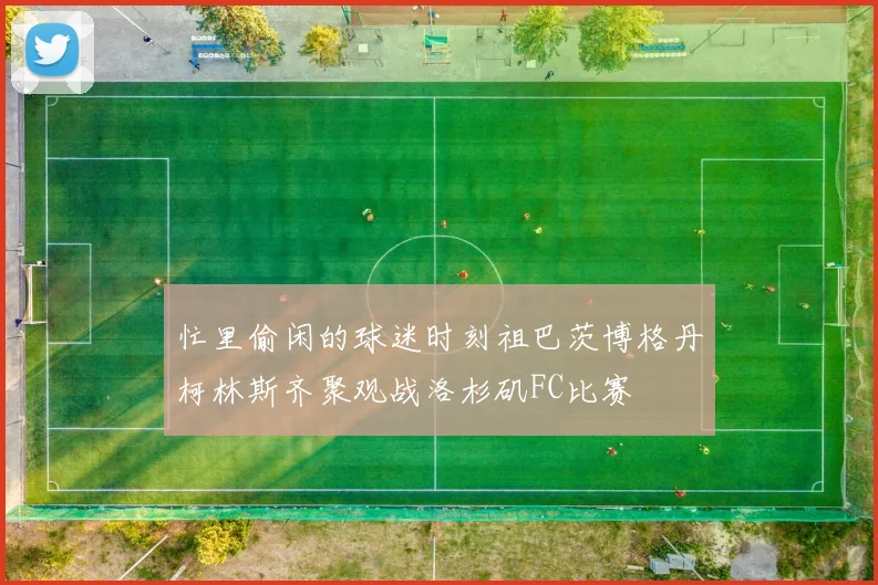 忙里偷闲的球迷时刻祖巴茨博格丹柯林斯齐聚观战洛杉矶FC比赛