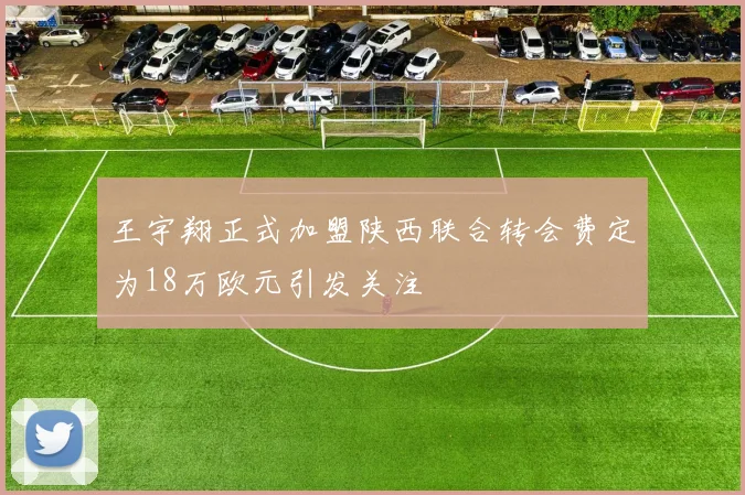王宇翔正式加盟陕西联合转会费定为18万欧元引发关注